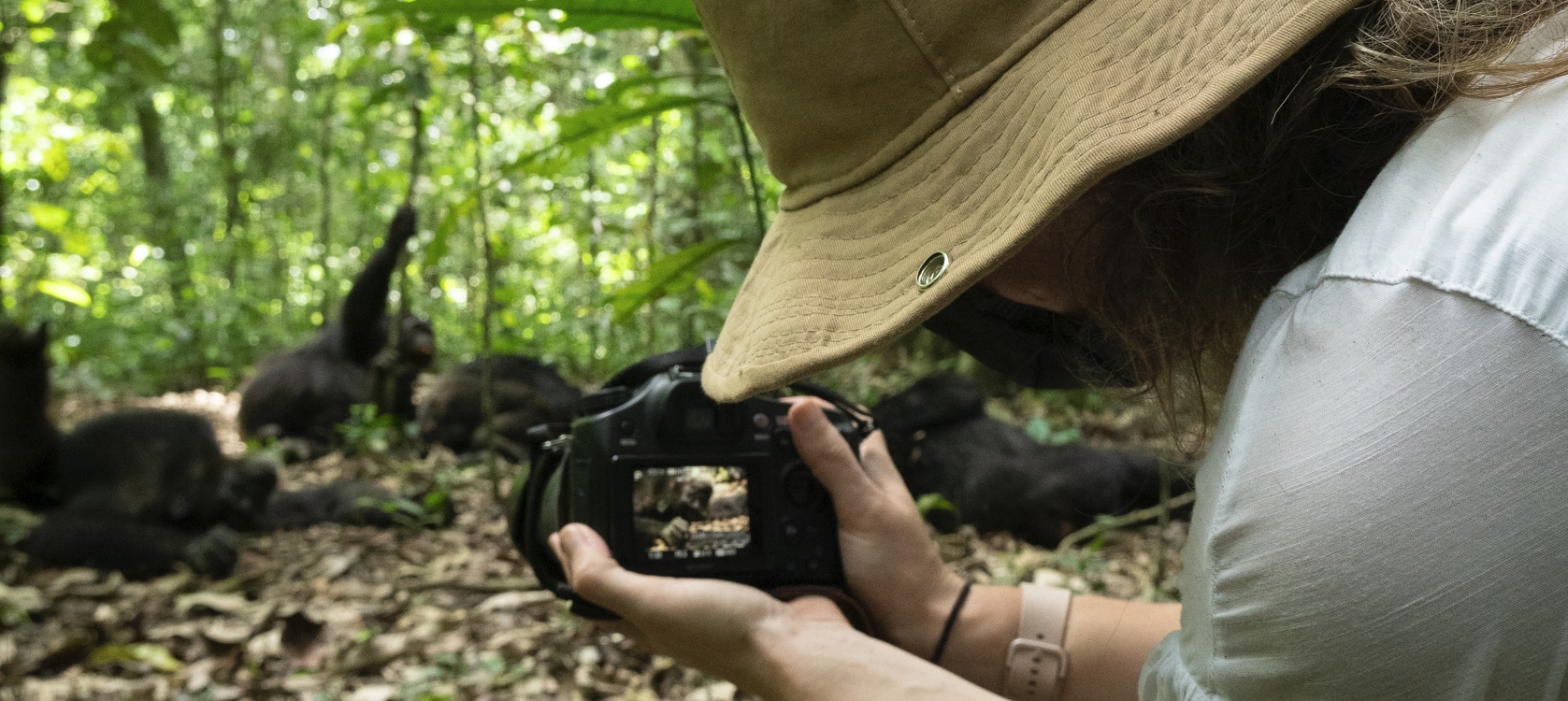 10-Days Best of Uganda Primate, Culture and Wildlife Safari