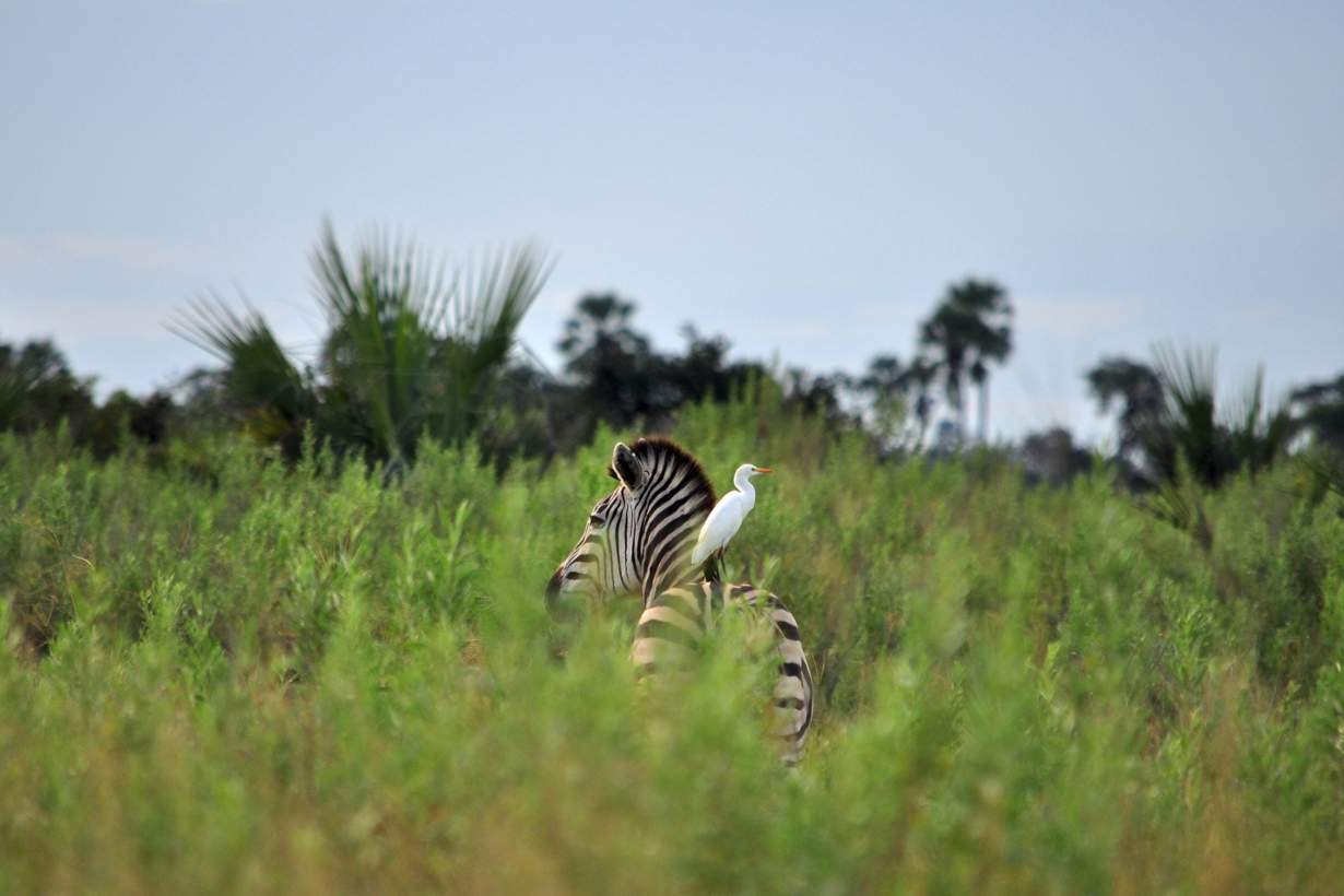 10 Must-Know Travel Tips for First Time Visitors to Uganda and Rwanda