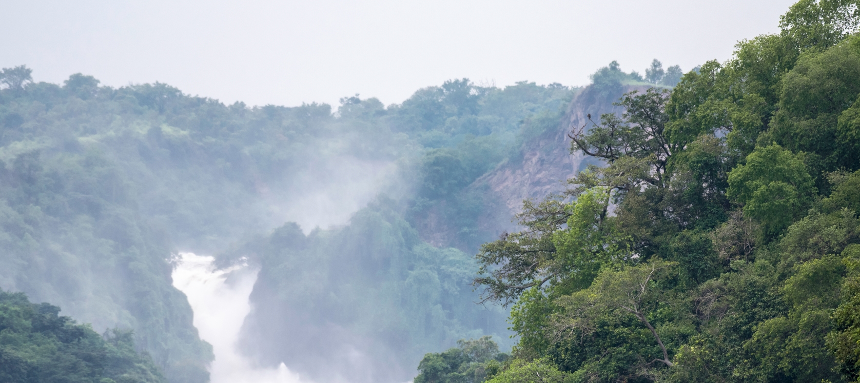 11-day ultimate Uganda wildlife culture and primate safari