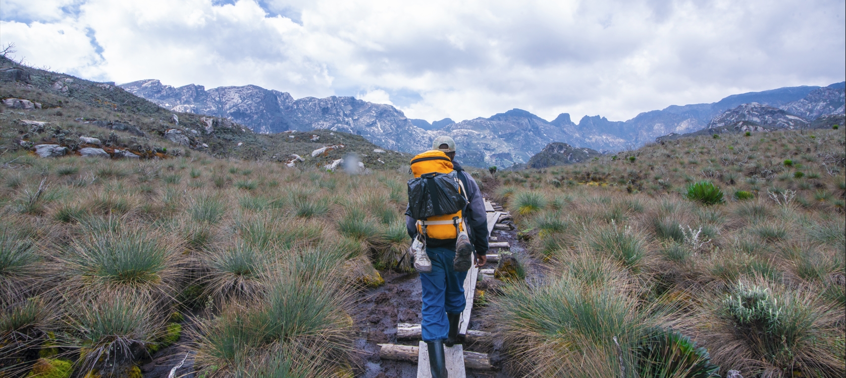 Hiking begins from the park gates to Nyabitaba, covering 7km in 5-6 hours with a 1200-meter ascent
