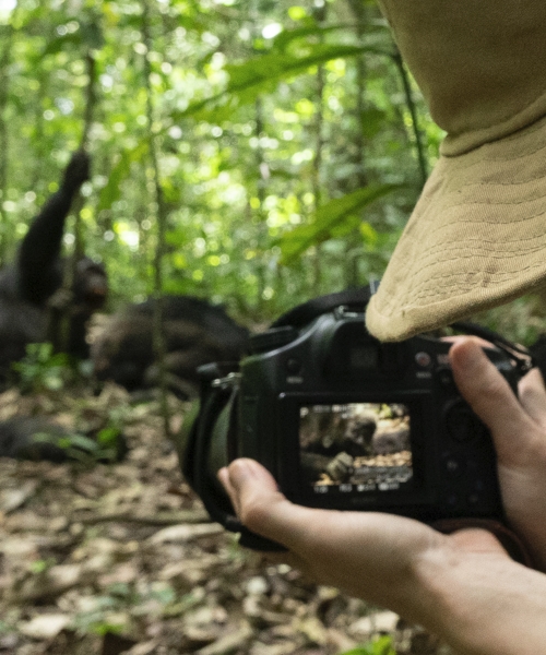 7-Days Uganda Wildlife and Primate Experience Safari