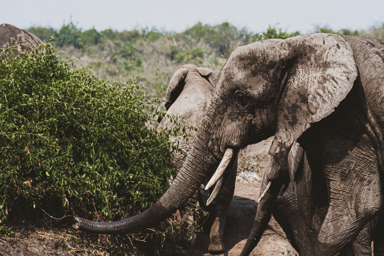 Top Tourist Destinations to Visit in Uganda