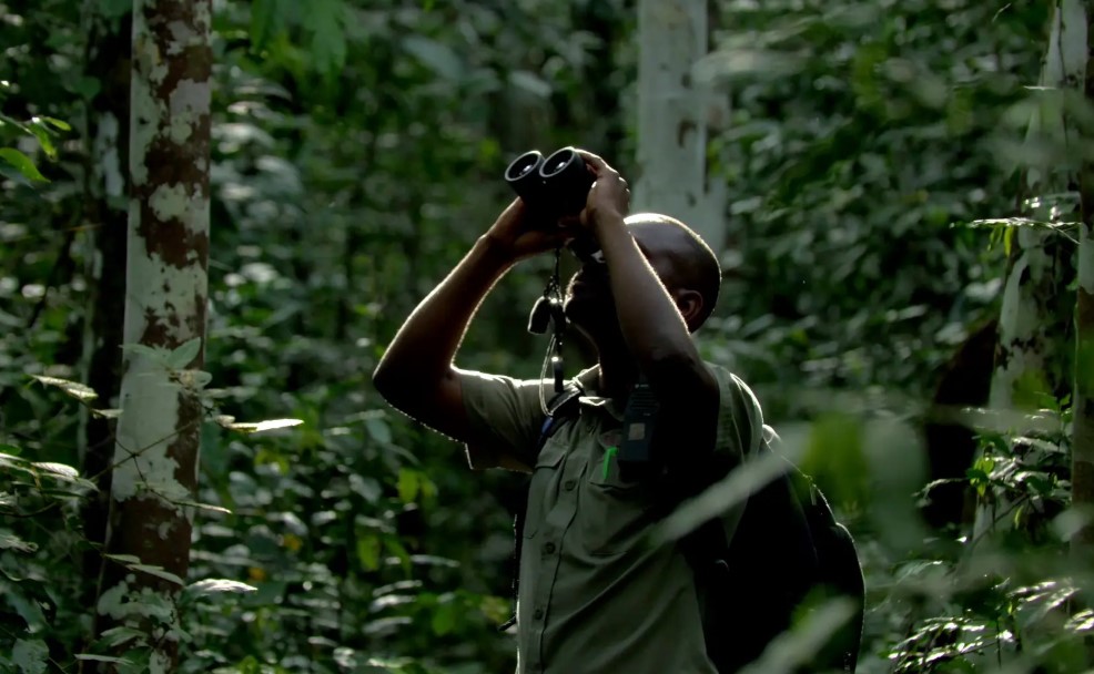 A Guide to Budongo Forest