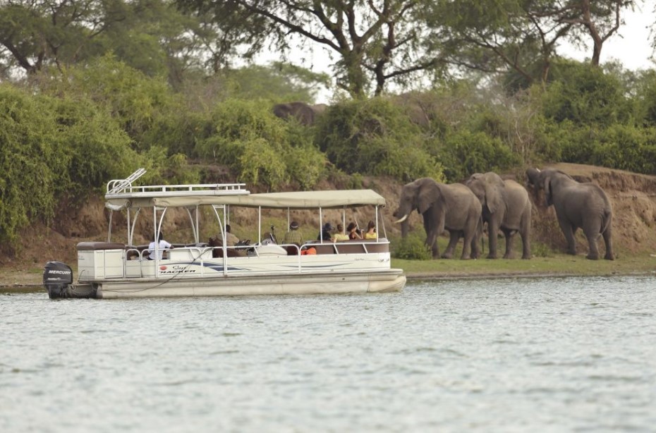 Boat Cruise Safari in Queen Elizabeth National Park