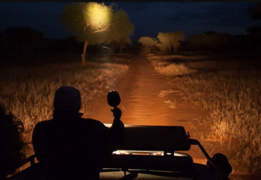 Night game drives in Uganda.