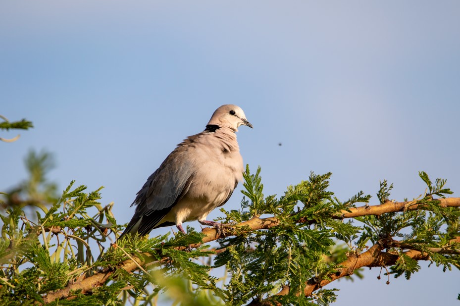 Visiting Queen Elizabeth in the Low Season