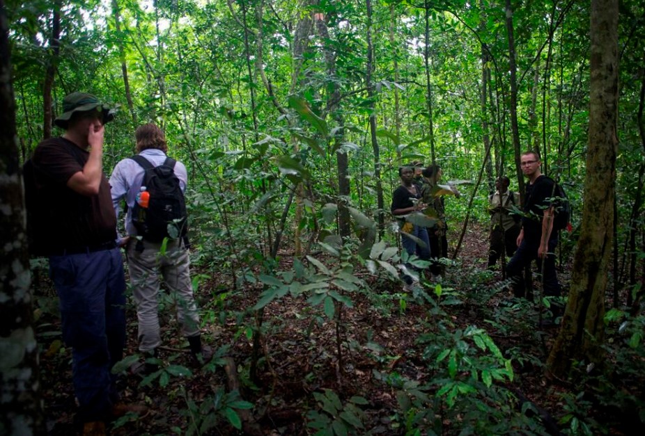 Nature Walk in Murchison Falls National Park.