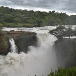 Is Murchison Falls National Park Worth Visiting