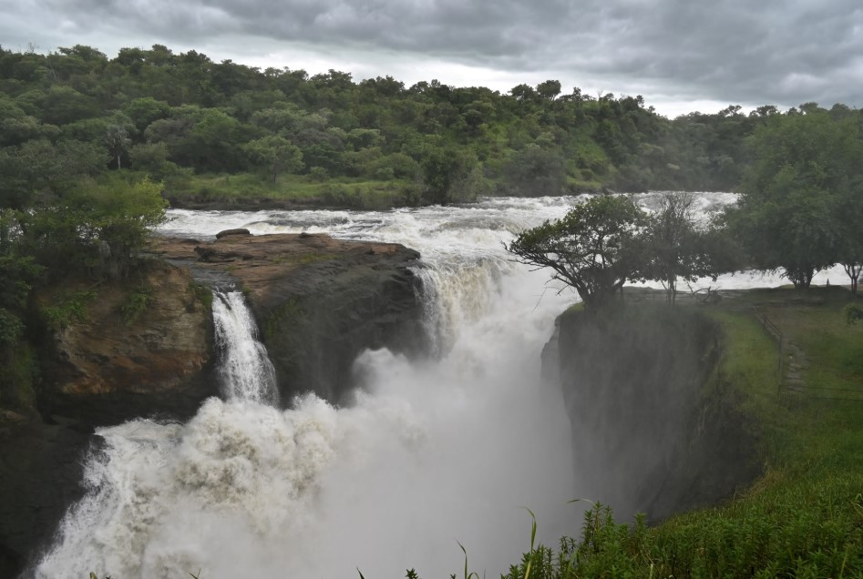 Is Murchison Falls National Park Worth Visiting