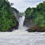 What makes Murchison Falls National Park Famous