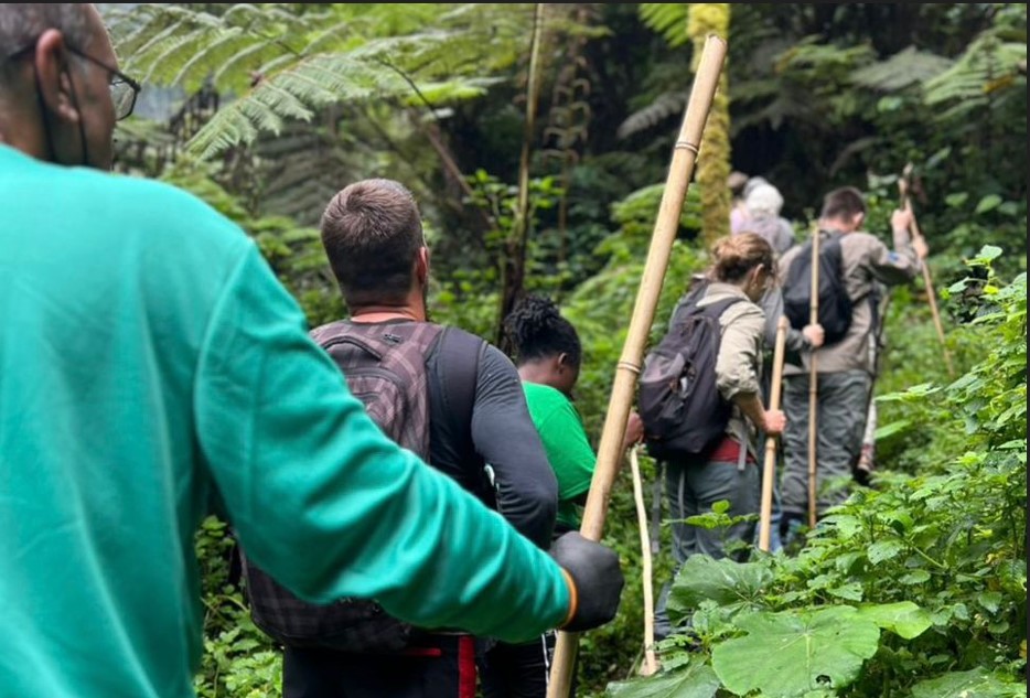 How Travel Can Expand Your Mind and Heart