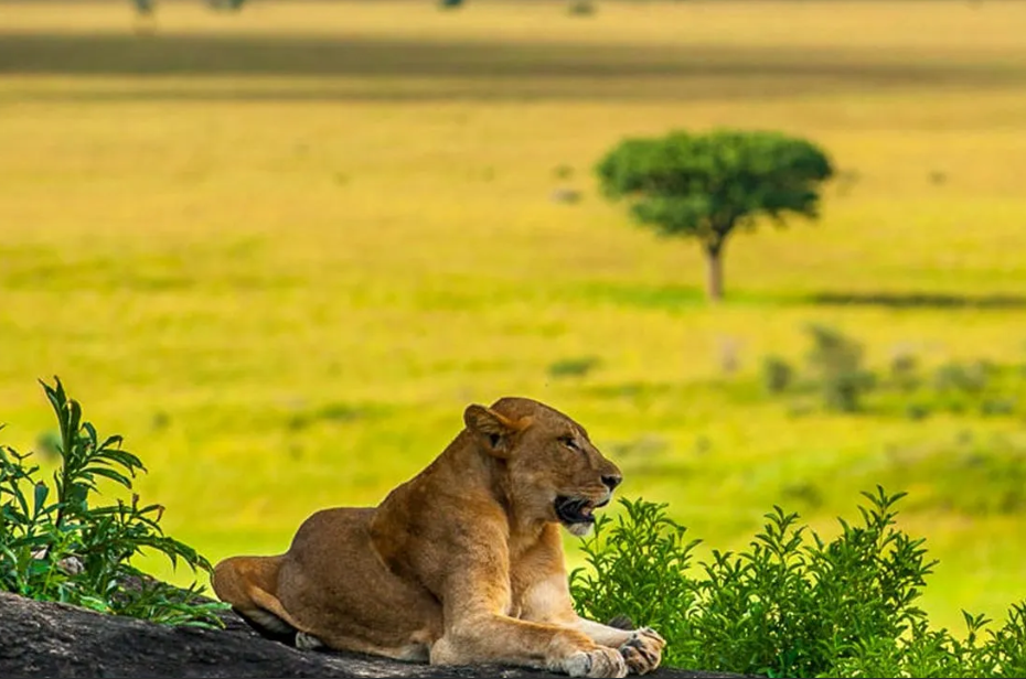 Activities in Kidepo Valley National Park