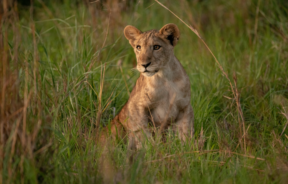  Best Things to do in Kidepo Valley National Park.