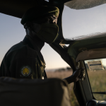 What Makes a Good Safari Guide