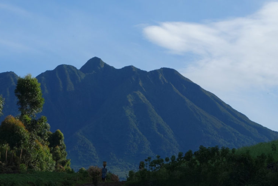 A Guide to Volcanoes National Park.