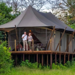 Honeymoon Safaris in Volcanoes National Park.