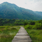 How to get to Semuliki National Park