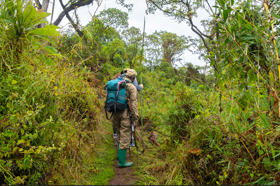 5 Day Hiking Mount Elgon to Wagagai Peak