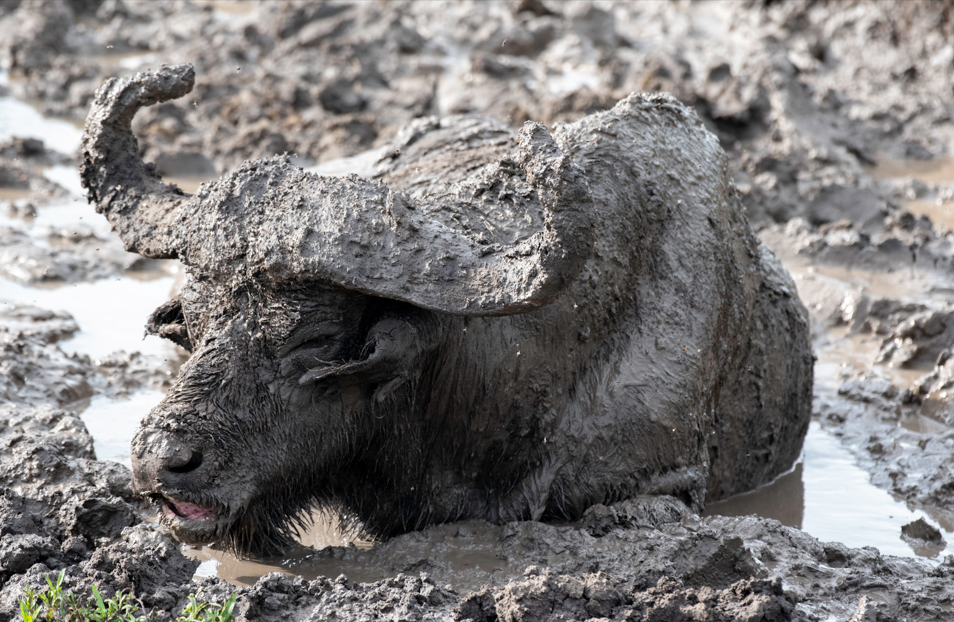Activities to do in Lake Mburo National Park