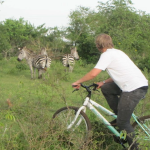 Best Time for Cycling Safaris in Lake Mburo National Park.