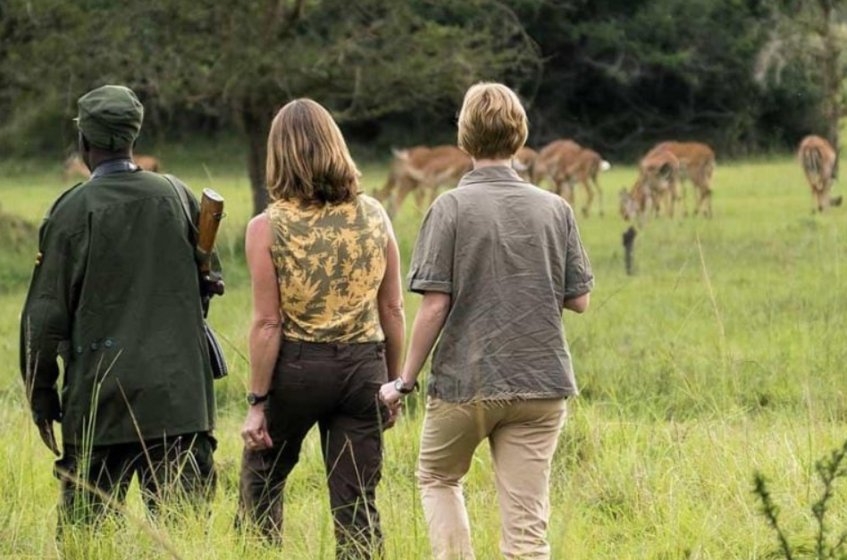 Best Time to do Nature Walks in Lake Mburo National Park.