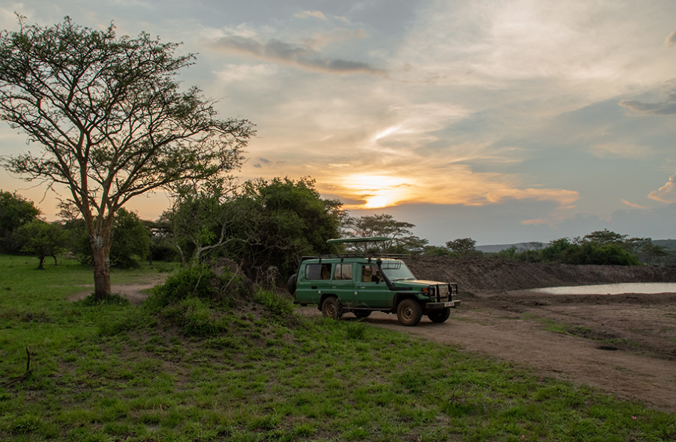 Best Time to do Night Game Drives in Lake Mburo National Park.