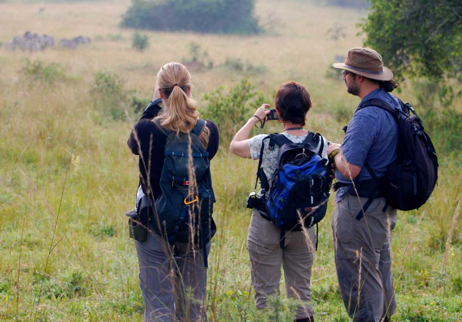 Best Time to do Walking Safaris in Lake Mburo National Park.