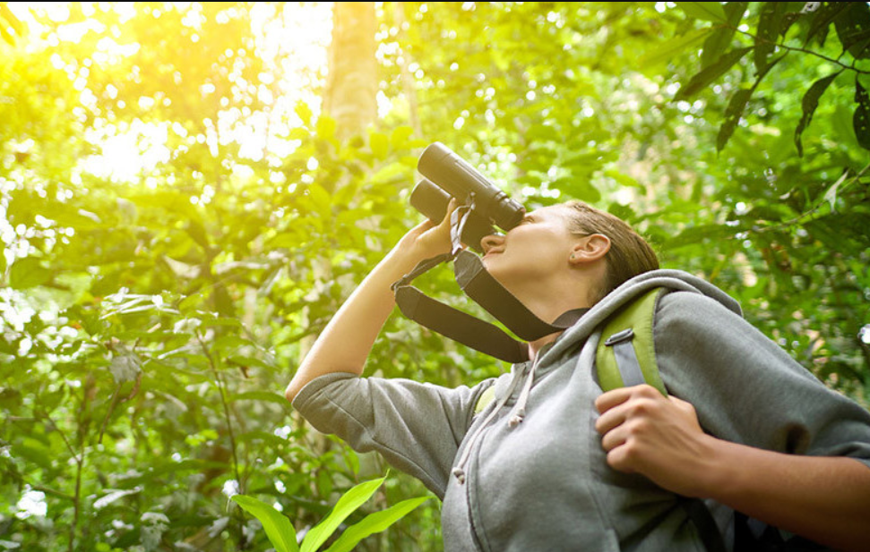 Birding Binoculars Guide