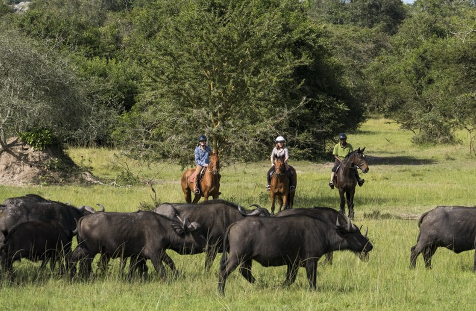 Horse Riding Safari in Lake Mburo National Park