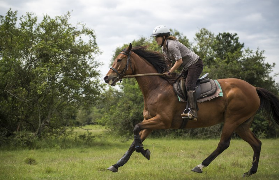 Horse Riding in Lake Mburo National Park.
