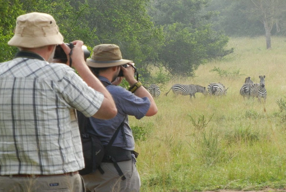 Nature Walks in Lake Mburo National Park.
