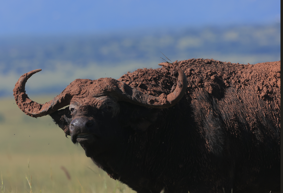 Things to do in Lake Mburo National Park.
