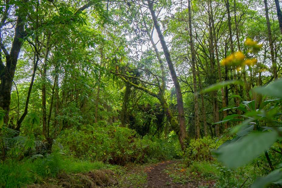 Weather Facts for Travellers in Bwindi