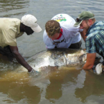 Where Can I Do Sport Fishing in Lake Mburo National Park