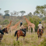 Best Time to do Horse Riding in Lake Mburo National Park.