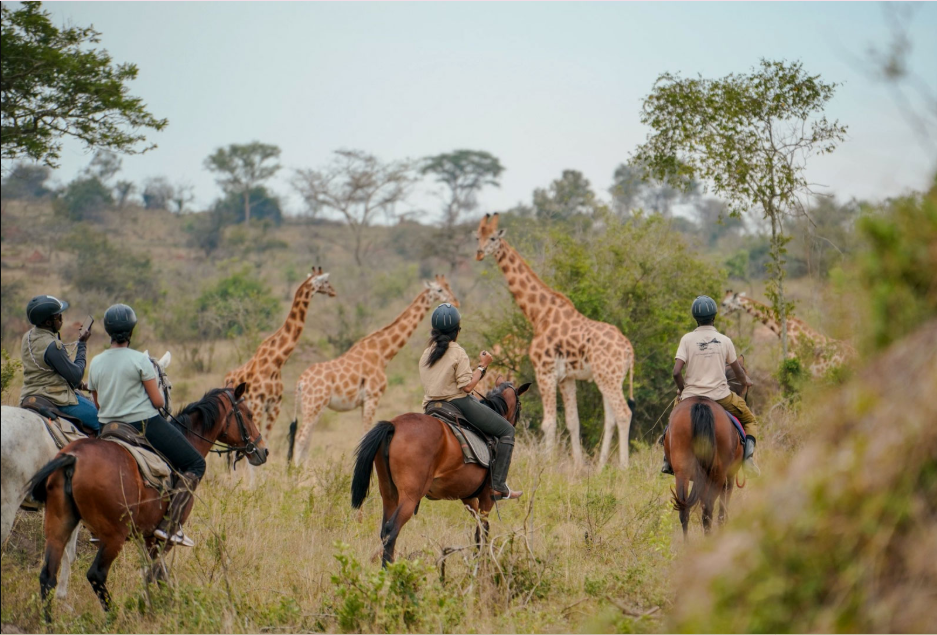 Best Time to do Horse Riding in Lake Mburo National Park.