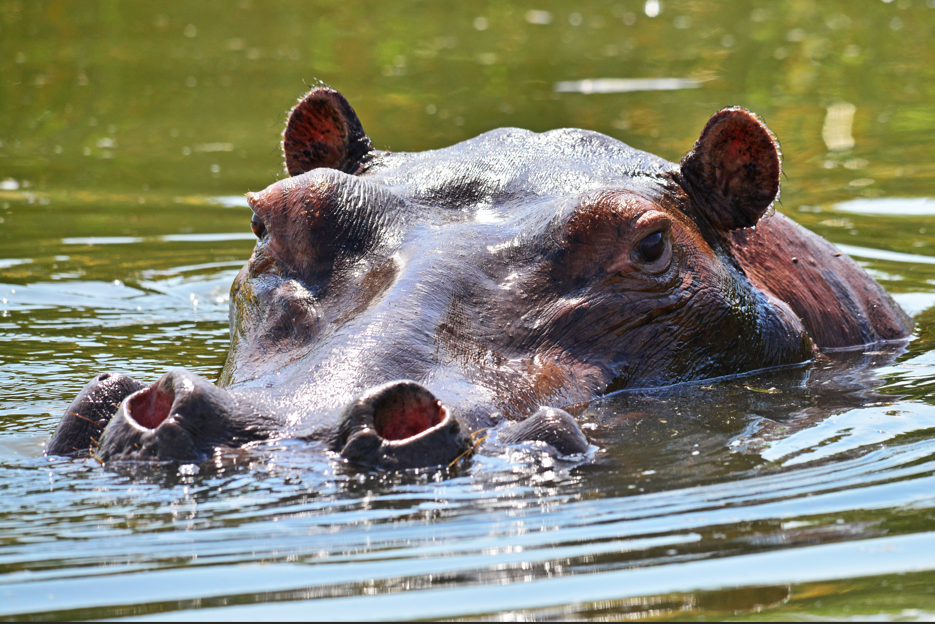 Major Activities in Lake Mburo National Park.