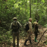 Best Time to do Nature Walks in Semuliki National Park.