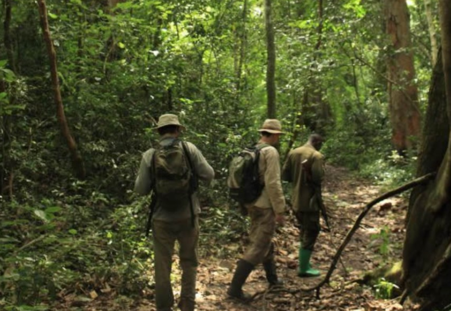 Best Time to do Nature Walks in Semuliki National Park.