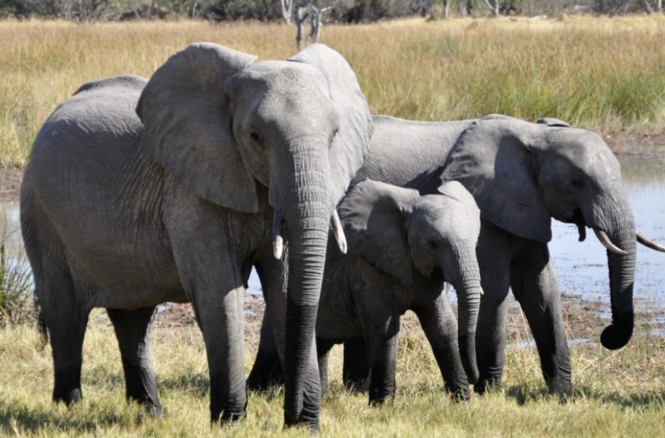 Budget Activities to Do Semuliki National Park