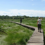Nature Walks in Semuliki National Park.
