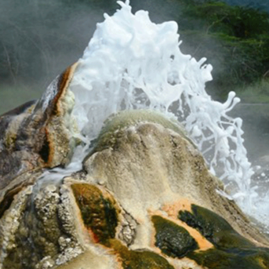 Image thumbnail