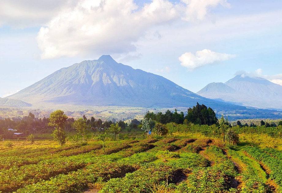 Explore the Virunga Mountains