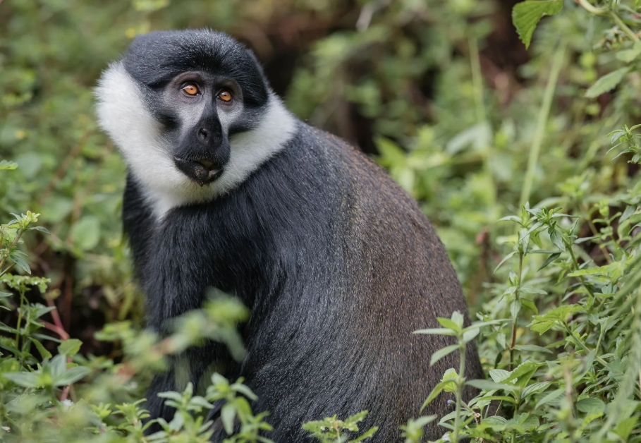 Factors that Determine How Long to Stay in Semuliki National Park