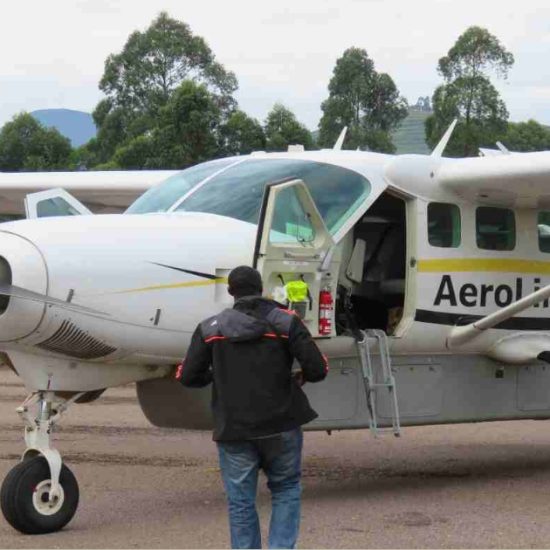 Image thumbnail