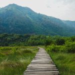 Honeymoon Safari Experience in Semuliki National Park
