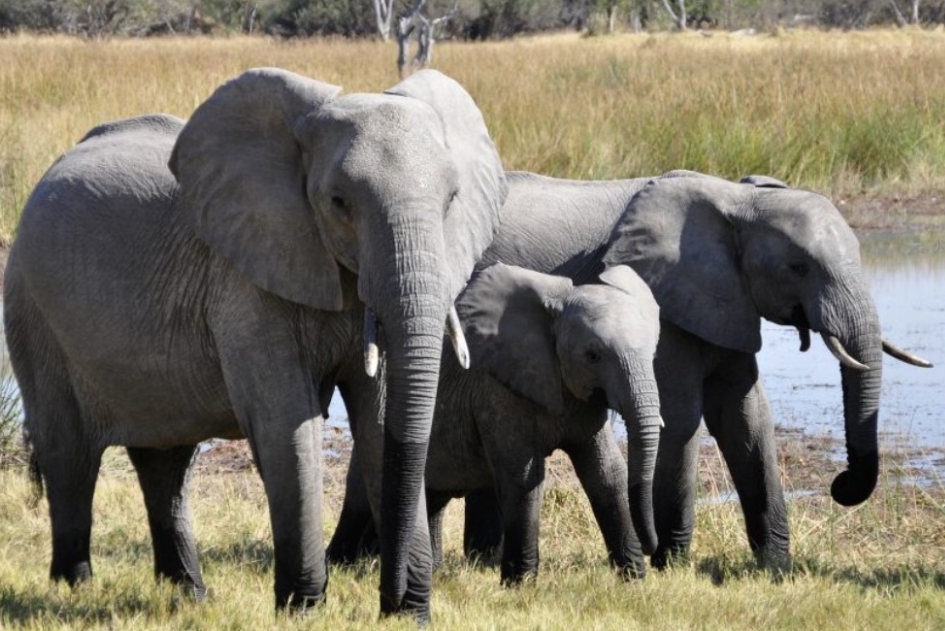 Luxury Safaris in Semuliki National Park