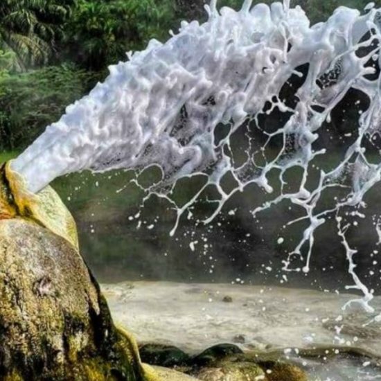 Image thumbnail