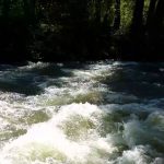 Wasa River Experience in Semuliki