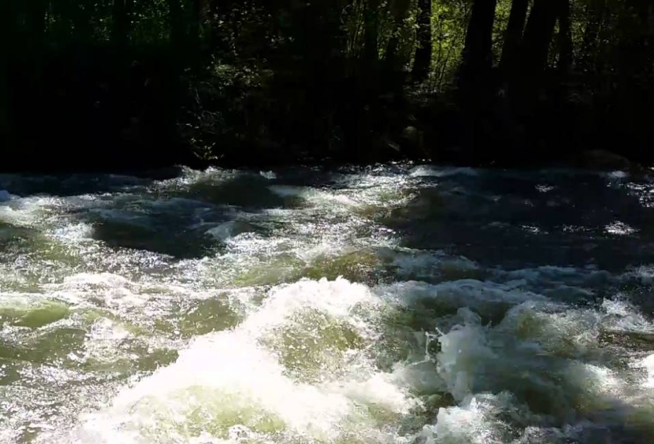 Wasa River Experience in Semuliki